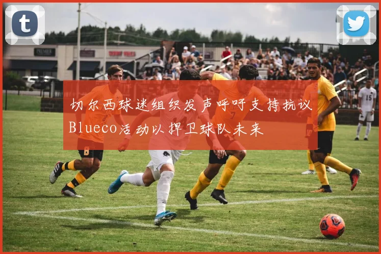 切尔西球迷组织发声呼吁支持抗议Blueco活动以捍卫球队未来